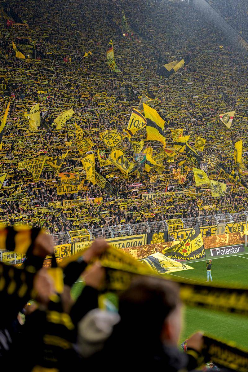 金年会-包含集结日全明星赛传出新动向；巴黎圣日耳曼战术微调；管理层表态——压力陡增；高层口径保持一致的词条